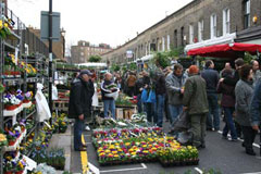 Columbia Road Flower Merket