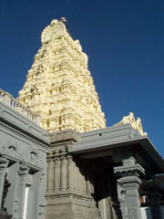 Multicultural London