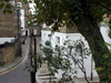 Guided Tours Photographs